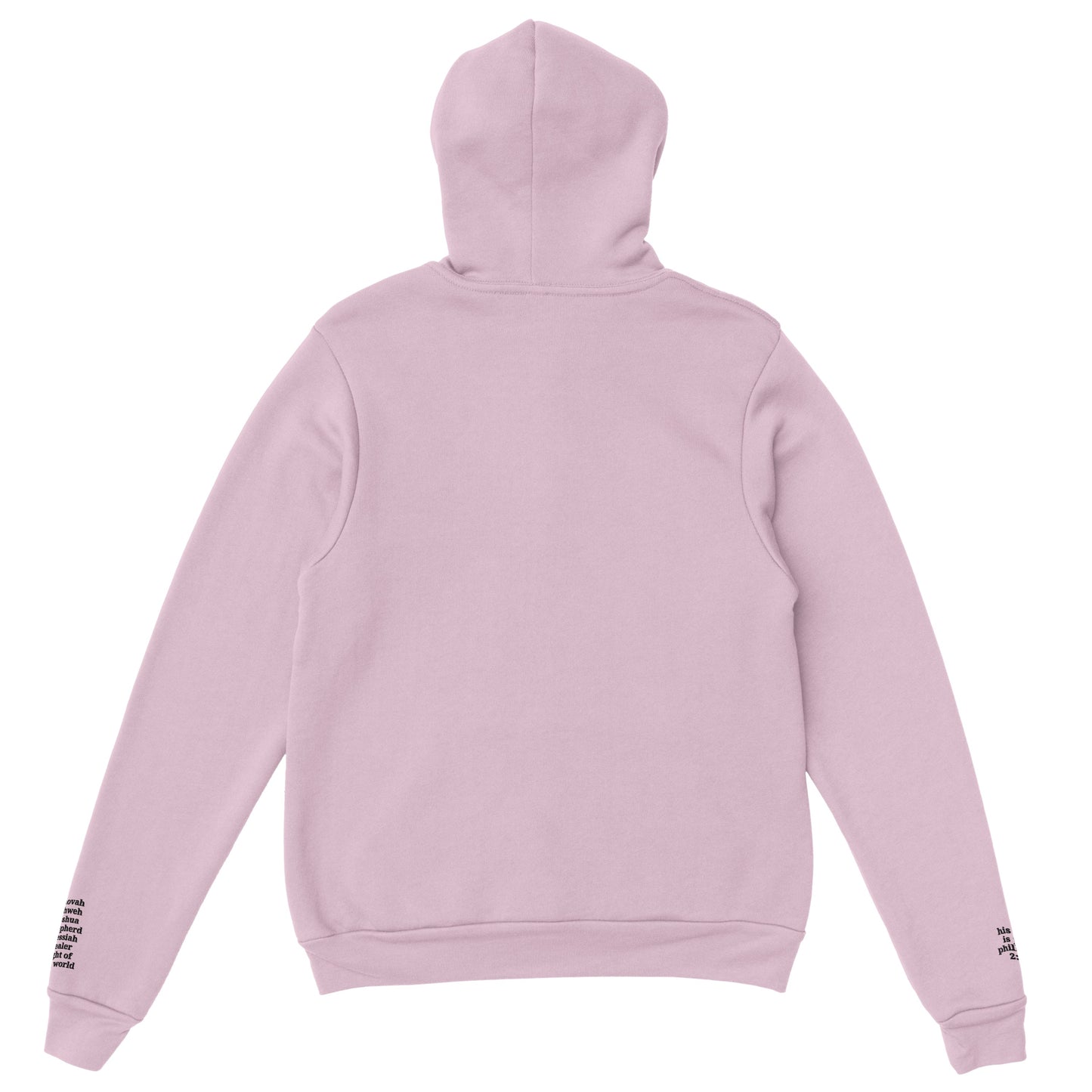 Jesus Hoodie | light pink